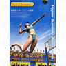 Beach Spikers Arcade Software GD ROM and IC Beach Spikers Arcade Software GD ROM and IC