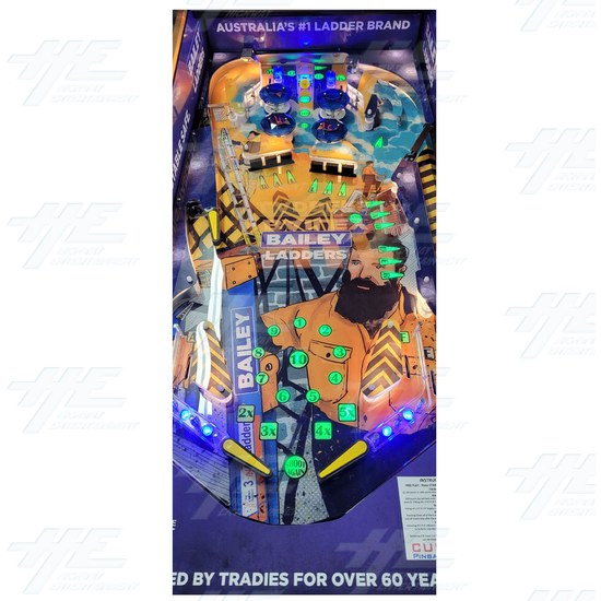 Build Your Own Custom Pinball Machine - Bailey Ladder Games Playfield
